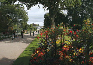 Bristol Zoo Gardens won a 'discritionary' Britain in Bloom Public Park Award - image: HW