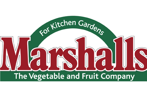 Marshalls launches dedicated Irish seed sales site - image: Marshalls