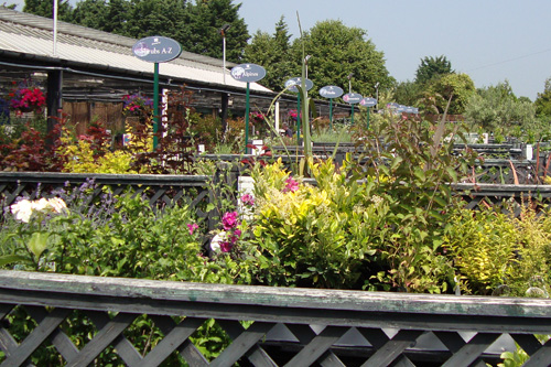 Garden centre sales - Image: HW