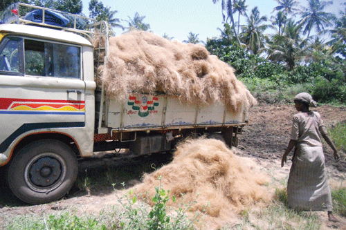  Renewable energy sources that are used overseas help to offset carbon footprint of sea transport of coir - image: Fotokannan
