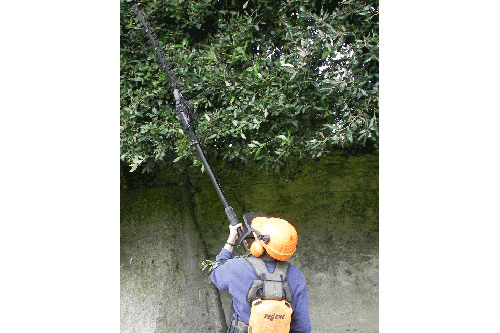 Pellenc battery system long reach hedge trimmer - image: HW