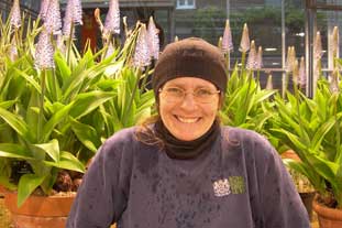 Kit Strange, alpine horticulturalist, Royal Botanic Garden, Kew - photo: Royal Botanic Gardens, Kew