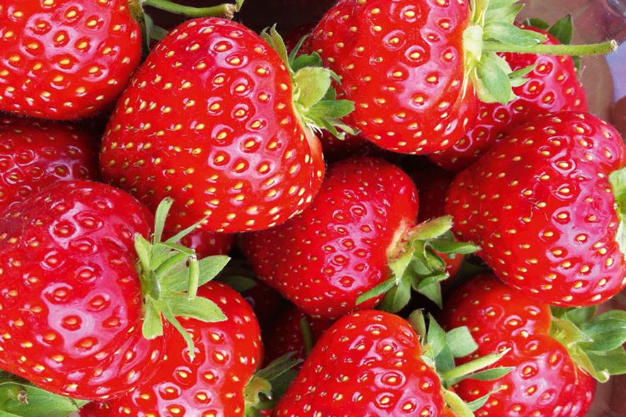 Best New Variety Top/Soft Fruit HortWeek