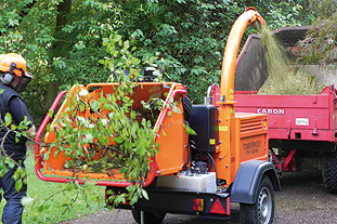 Timberwolf TW150DHB - image: HW