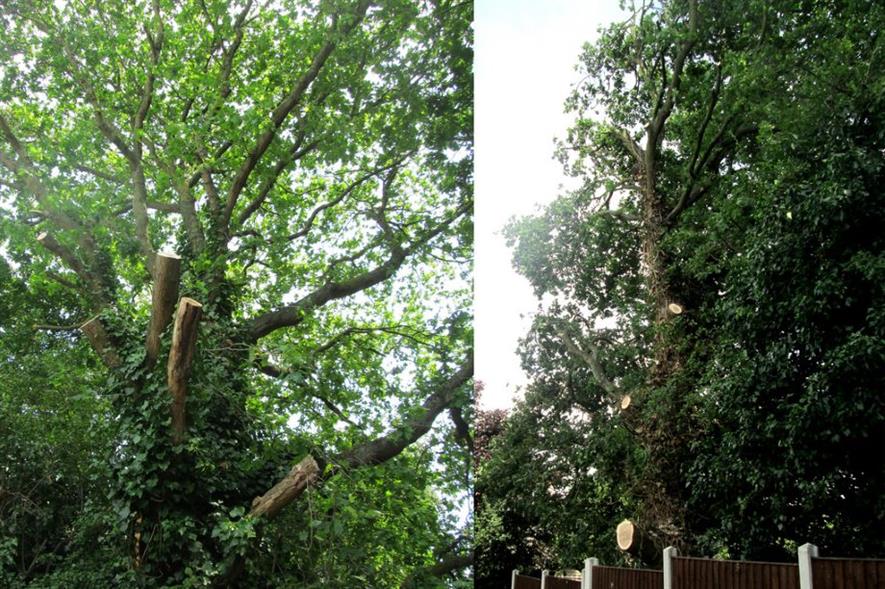 Image: Epping Forest District Council