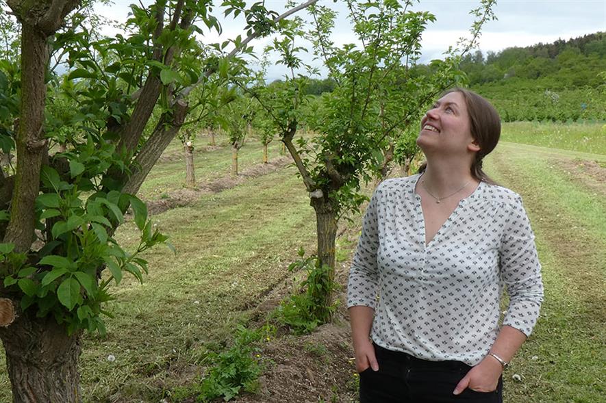 Alice Jones visited several elder farms across Europe and North America, including grower Stefan Hommer in Rhineland, Germany - credit: Nuffield