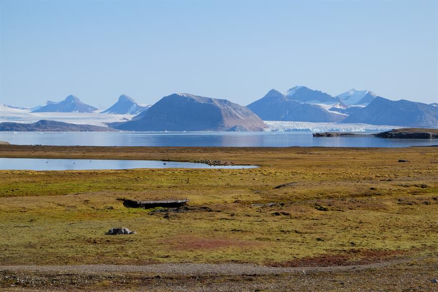 Arctic peatland in Svalbard - credit Angela Gallego-Sala