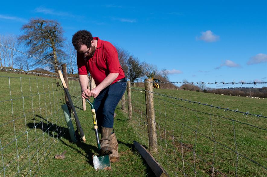 Area ranger James Robbins breaks ground for the new hedge at Buckland Abbey - credit: Alex Prain/NT