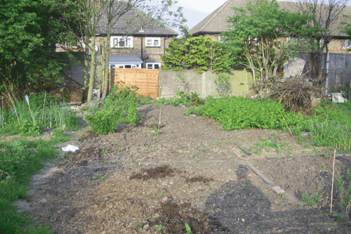 Demand for allotments is peaking as gardeners embrace grow your own - image: HW