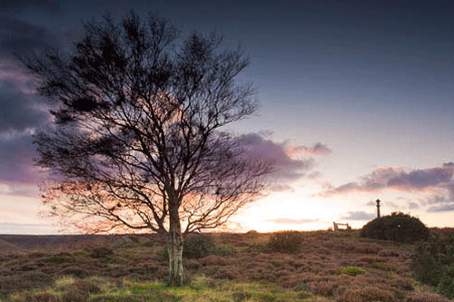 North York Moors: national park’s Government grant cut by a fifth - image: Shockthesenses.com