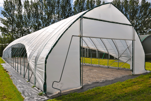 Solo Gothic: polytunnel features steep-sided hoops for improved snow management - image: Haygrove Tunnels