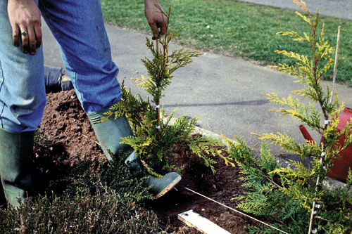 Tighter budgets mean landscapers are asked increasingly to deliver basics - image: Amateur Gardening