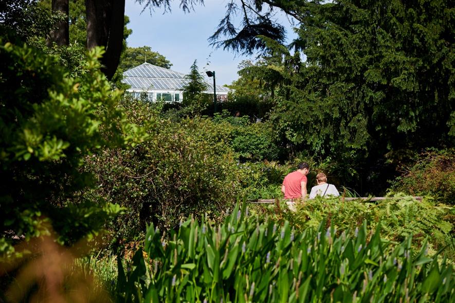 Glasshouse at the Birmingham Botanical Gardens (BBG) - credit: BBG