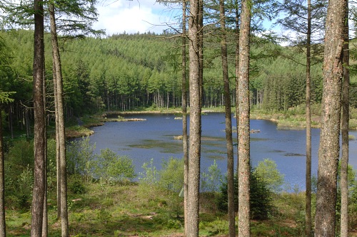 Bwlch Nant-yr-Arian - image: Natural Resources Wales