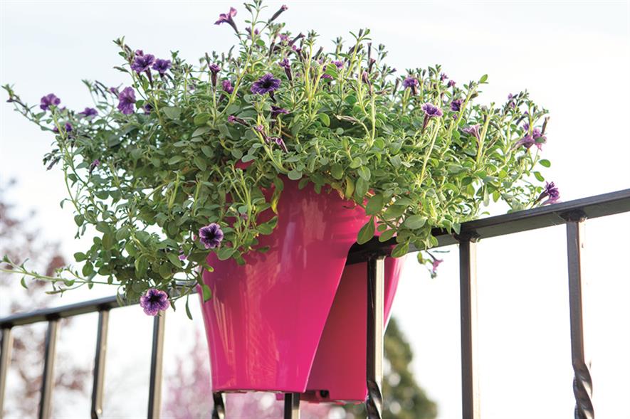 Formats: Borneo planter to sit on railings - image: BATO