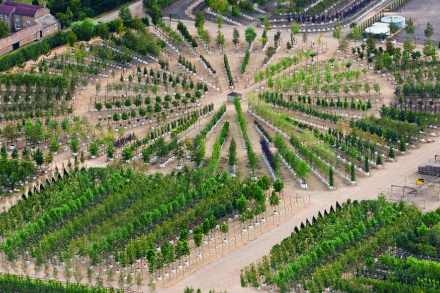 Barcham Trees nursery from the air