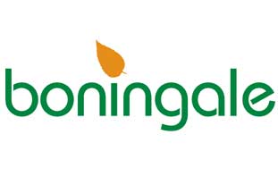 Boningale's new corporate logo - image: Boningale