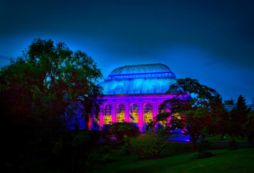 RBGE is extending its season with the power of light Picture: Lloyd Smith