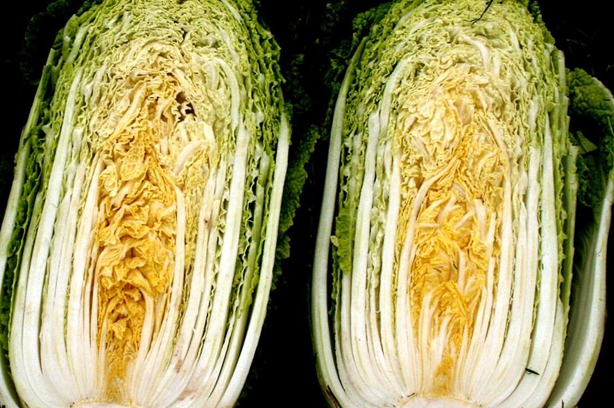 Genes of two brassica families reveal "convergent domestication