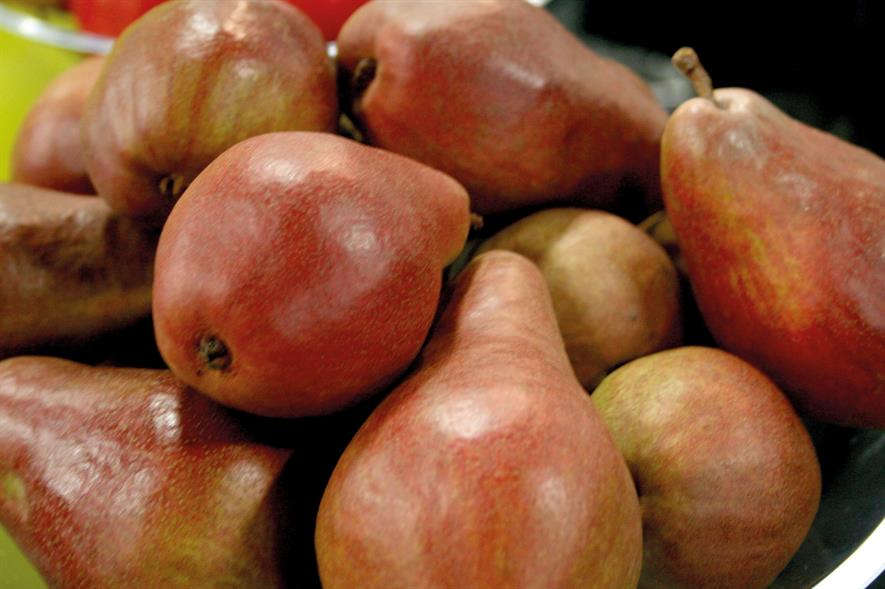 JR Breach: red-skinned pear was introduced at show - image: HW