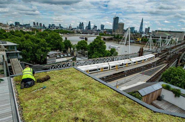 Green roofs help reduce the effects of climate change. Image: Bridgman & Bridgman