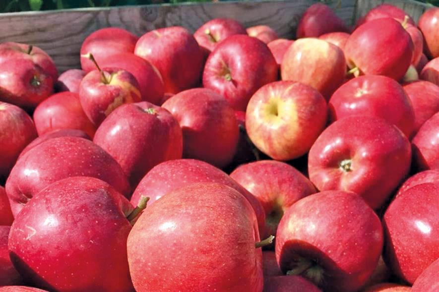 Fresh fruit: unusual demand peaks due to coronavirus - credit: British Apples & Pears