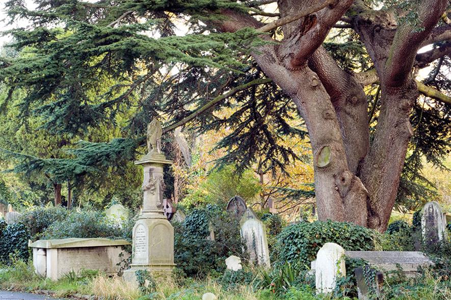 Image: Brompton Cemetery