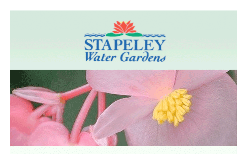 Staff are in consultation pending store closure at Stapeley Water Gardens - image: Stapeley Water Gardens