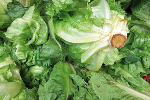 Salads: Salmac has solution for removing debris. Image: Morguefile