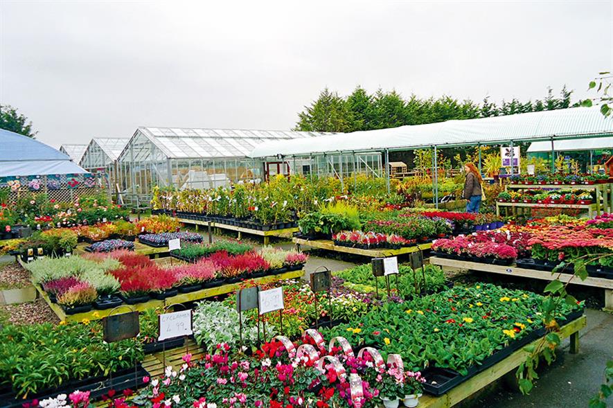 What Does Being Ethical Really Mean For Horticulture HortWeek what-does-being-ethical-really-mean-for-horticulture-hortweek