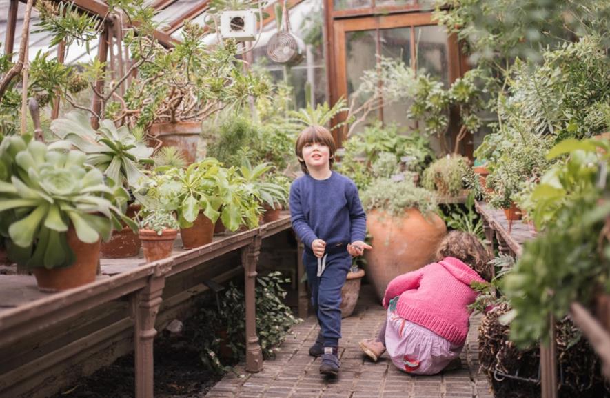 Chelsea Physic Garden awarded £172,500 grant for glasshouse ...