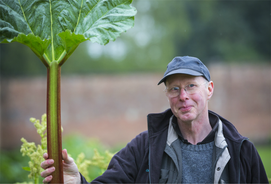 Chris Margrave with some of the heritage rhubarb Pic: Chris Lacey