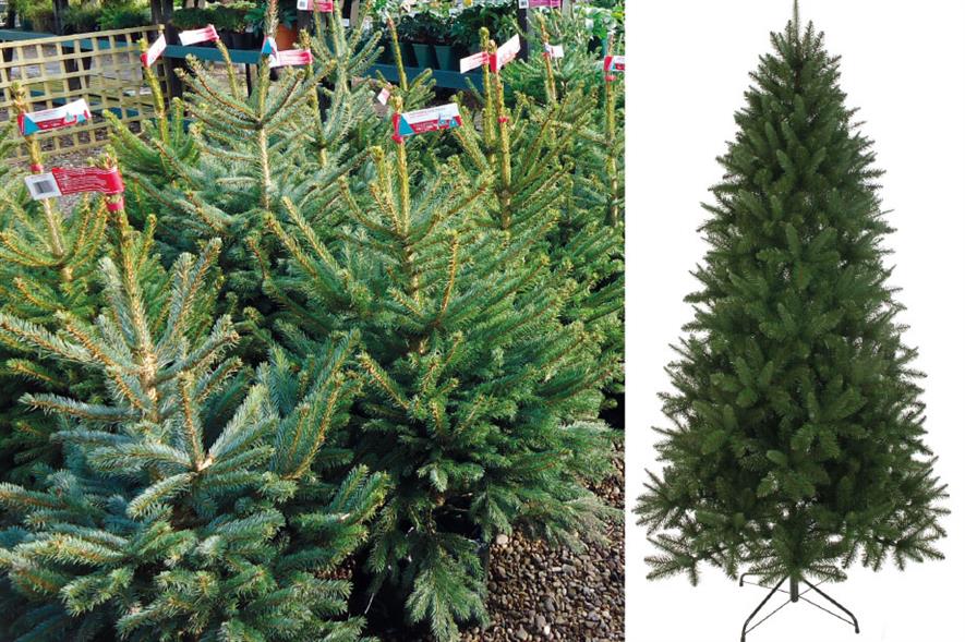 Christmas: real trees (left) better for environment and offer family tradition but sales of artificials (right) rising