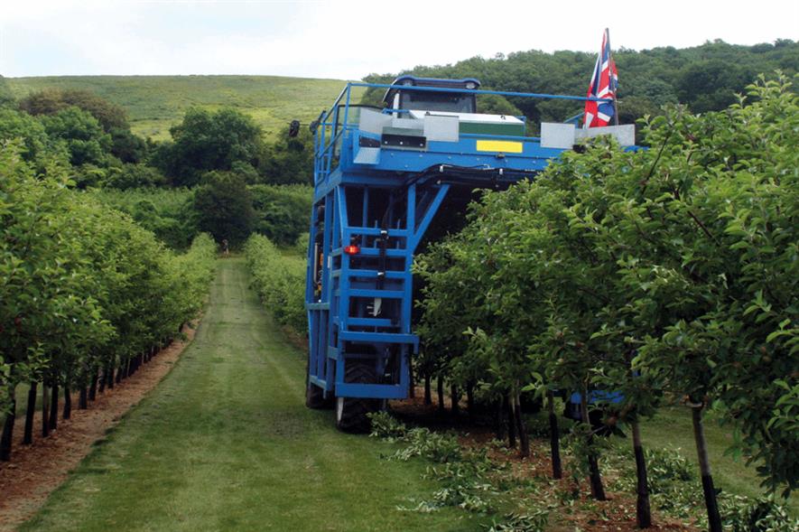Orchards: understanding of mechanisation among strengths that could help UK to dominate global cider market - image: HW