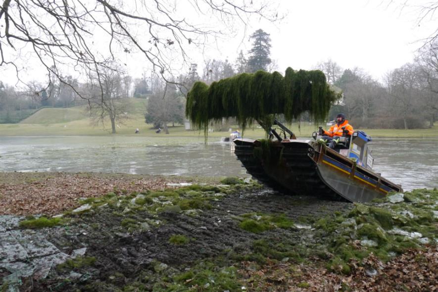 Tim Rayfield extreme weeding at Claremont. Image: National Trust/ Dee Durham