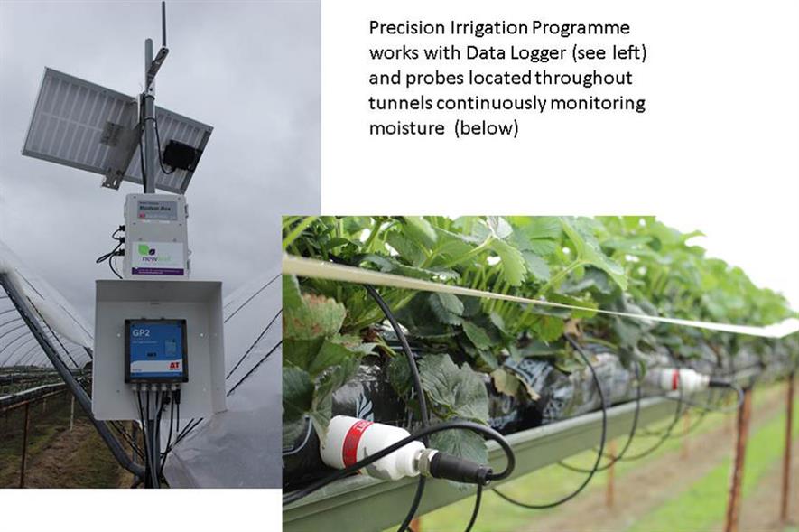 Clock House Farm Horticulture Week