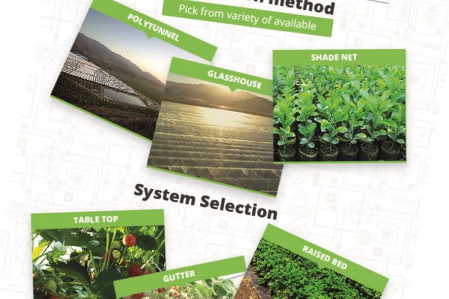 site helps soft fruit growers select bestsuited growing media