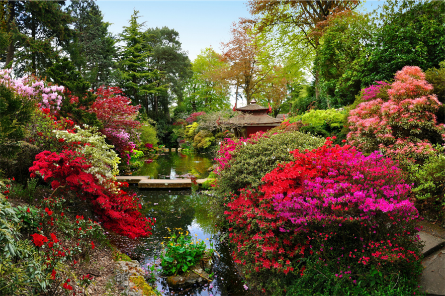 TripAdvisor has seen interest in Compton Acres surge