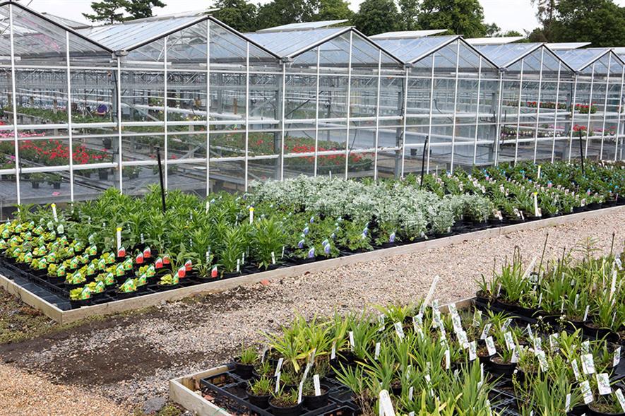 New firm USP Creations set to bring a new concept in vertical gardening to garden centres