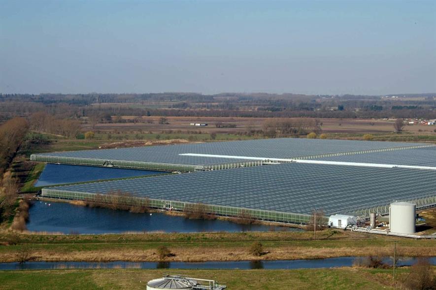 Cornerways Nursery