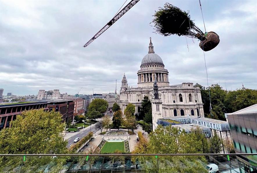 Crane swinging a plant around for planting in a site near St Paul's Cathedral, London for Cultura Group