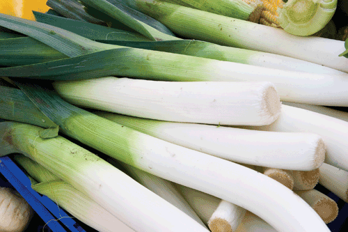 The FSA statement, which mentions leeks and potatoes is expected to have a damaging effect for UK-grown produce - image: HW
