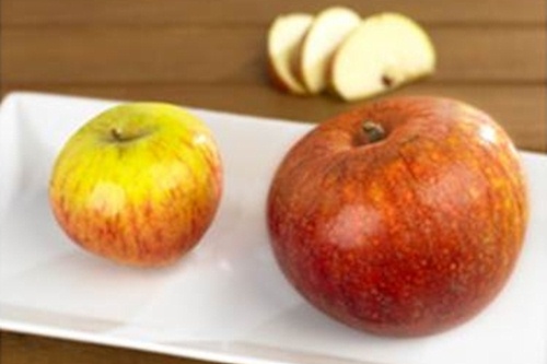 Regular and Extra Large apples - image:Waitrose
