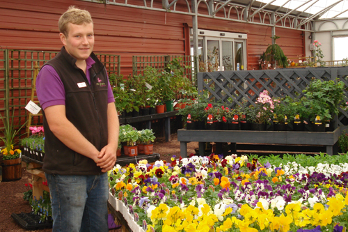 Westland Star of the Future - Matthew Lowe, Merryhatton Garden Centre - image: HW