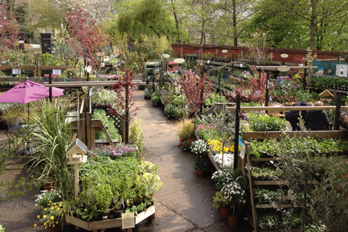 Urban Garden Centre of the Year - Camden Garden centre - image: Camden GC