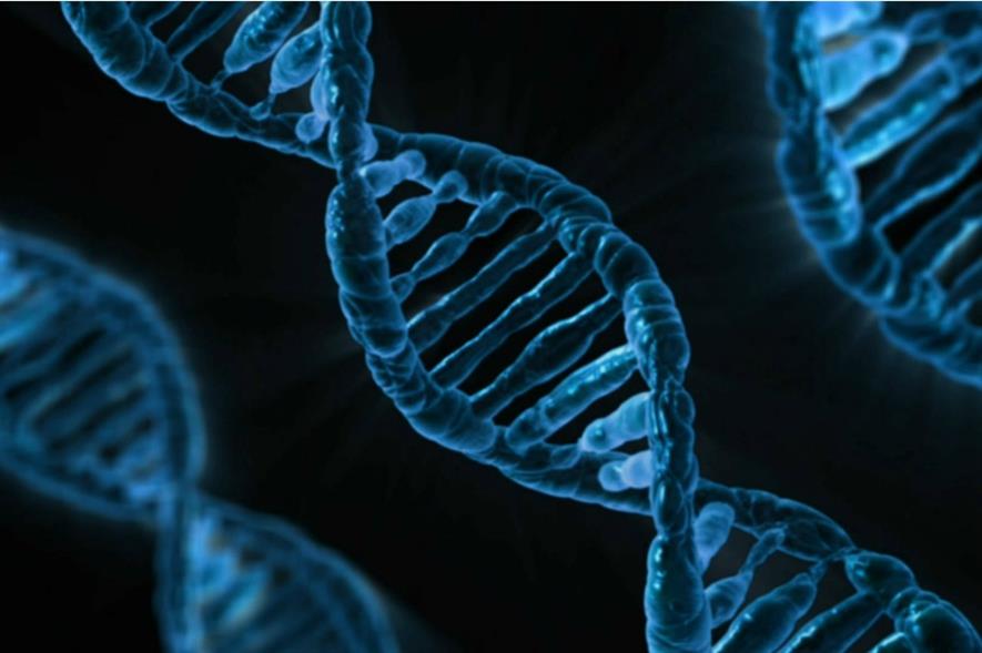 DNA. Image: Pixabay