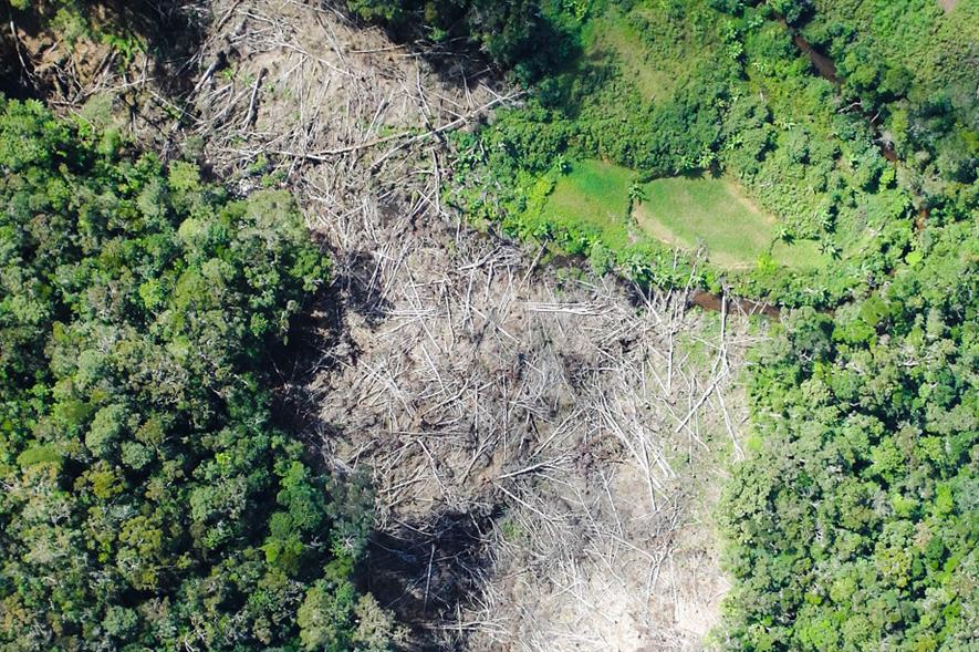 Deforestation in Madagascar - credit: RBG Kew