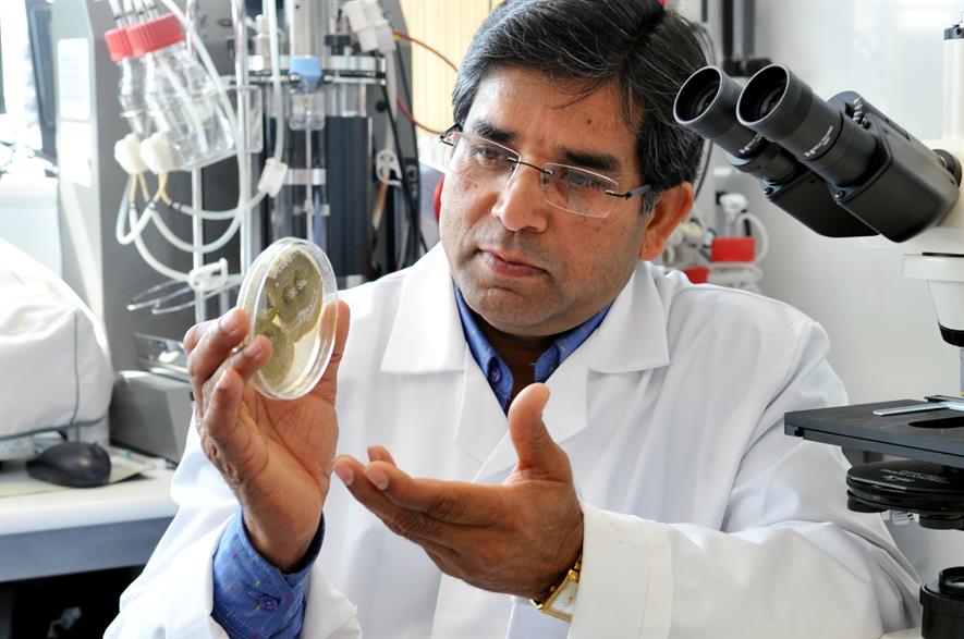 Dr Minshad Ansari