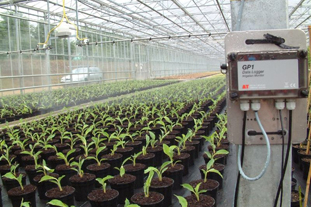 GP1 logger: allows irrigation only when needed. Image: HDC