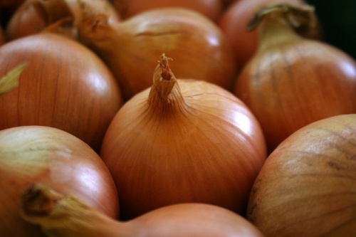 onions: 6.9 million tonnes were traded across borders last year. Image: HW
